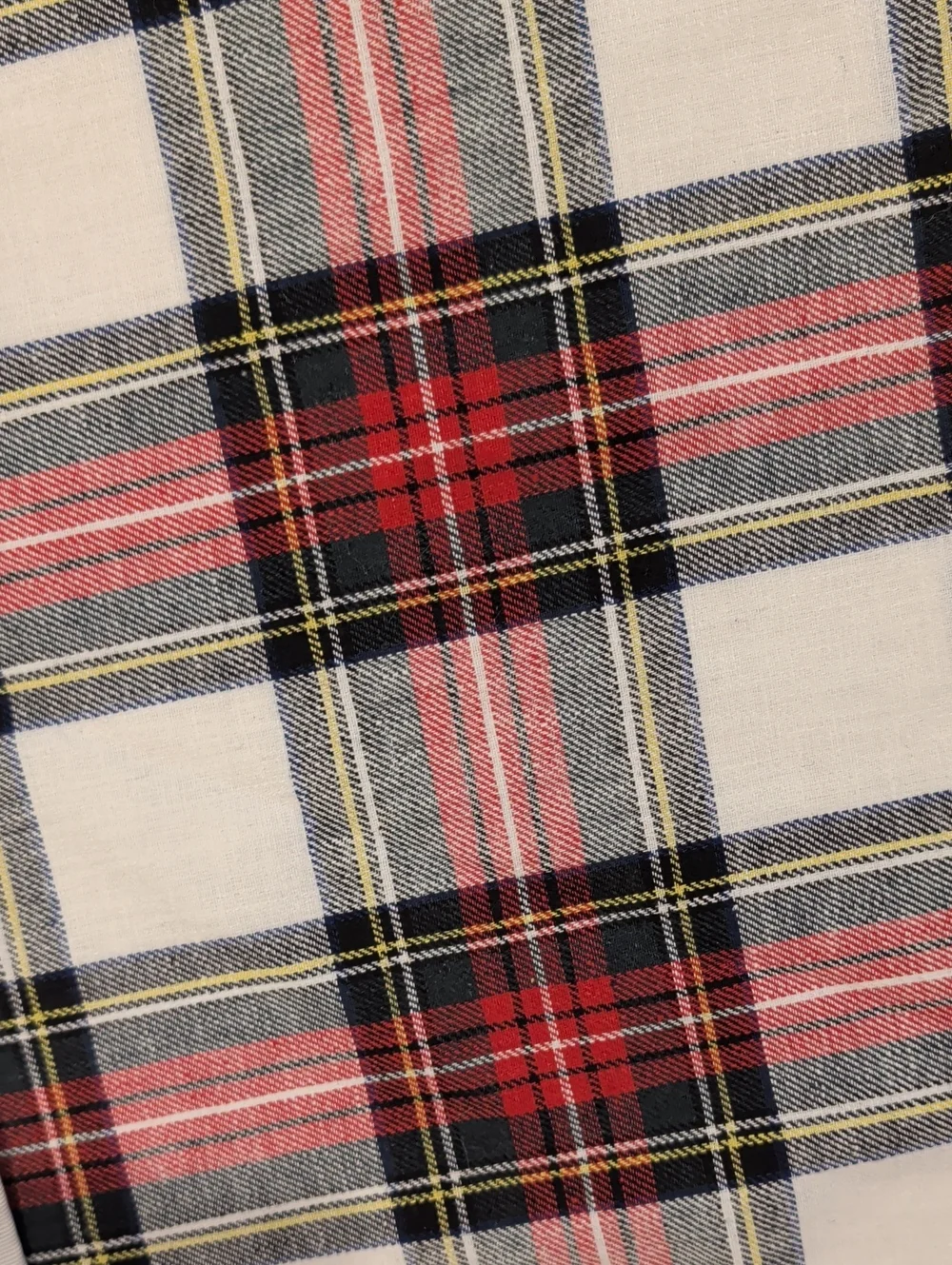 Williams Sonoma Placemats
